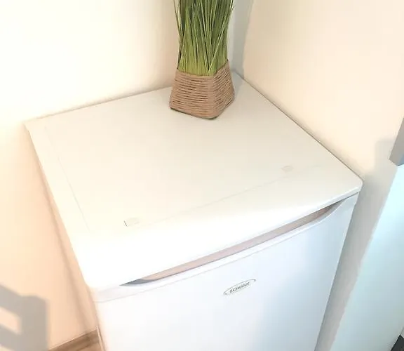 新式公寓 公寓 *