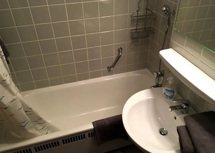 新式公寓 公寓 *