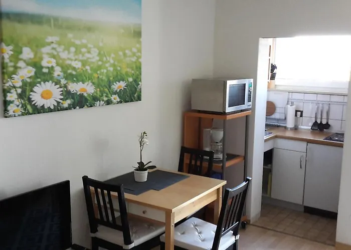 新式公寓 * 雷根斯堡